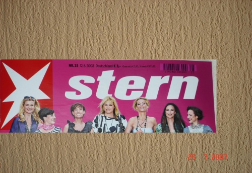 Logo STERN
