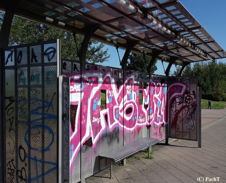 Graffiti_8 in Erfurt